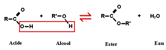 Les R Actions Dest Rification Et Dhydrolyse